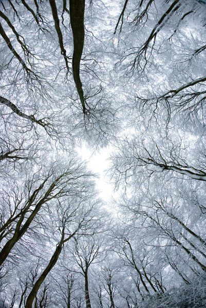 e8f940d4af720f5fd1f665d6b1ee8195